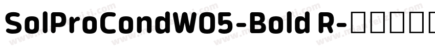 SolProCondW05-Bold R字体转换